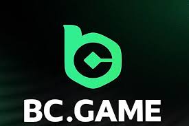 Exploring BC.Game Crypto Casino in India A Complete Guide