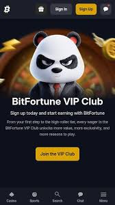 Unleashing the Potential of Bitfortune Black Friday Crypto Specials